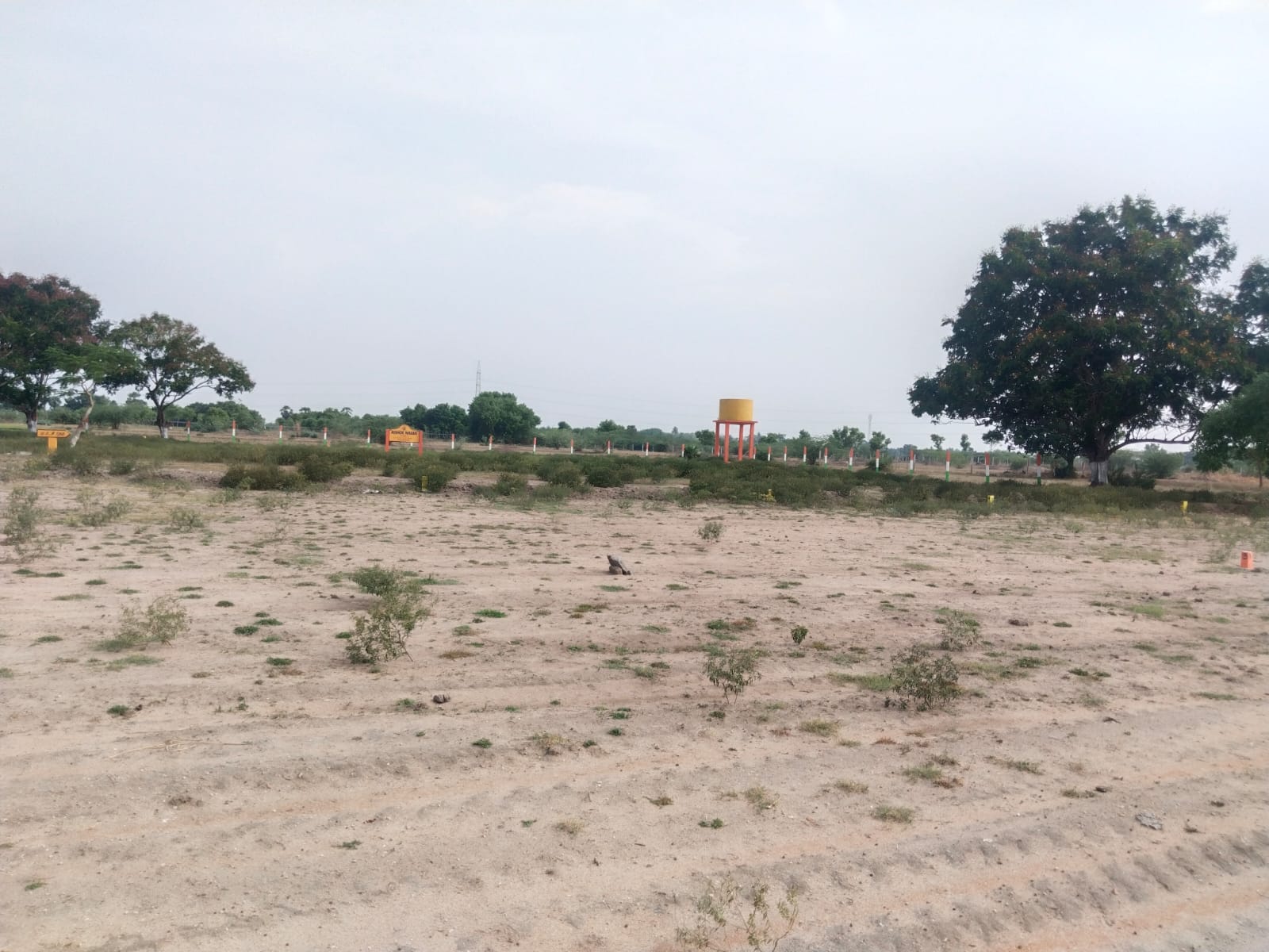Project Image 11
