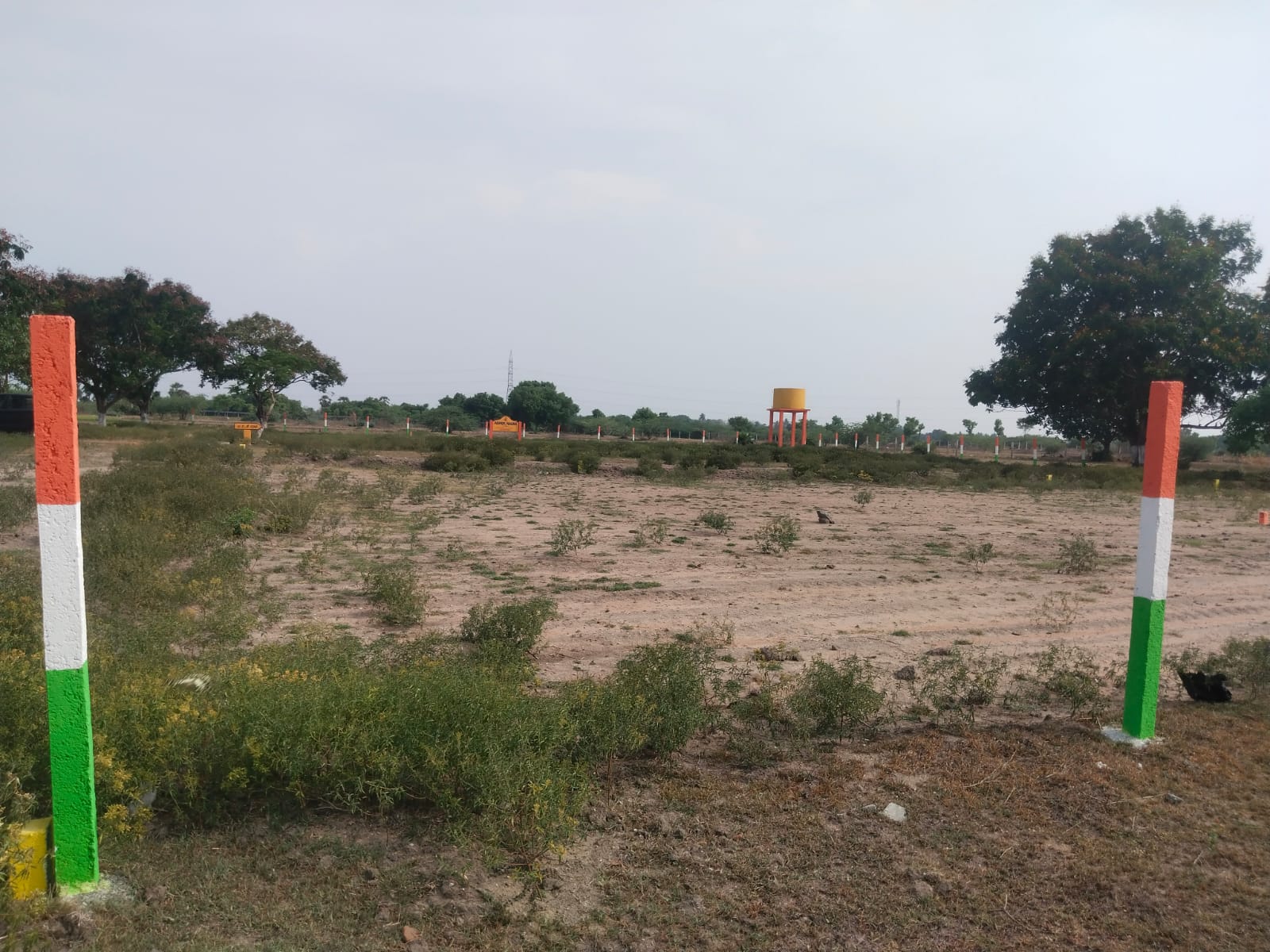Project Image 12