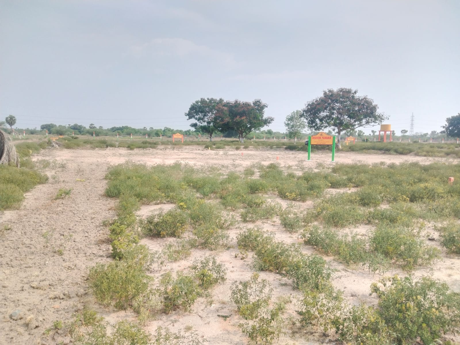Project Image 14