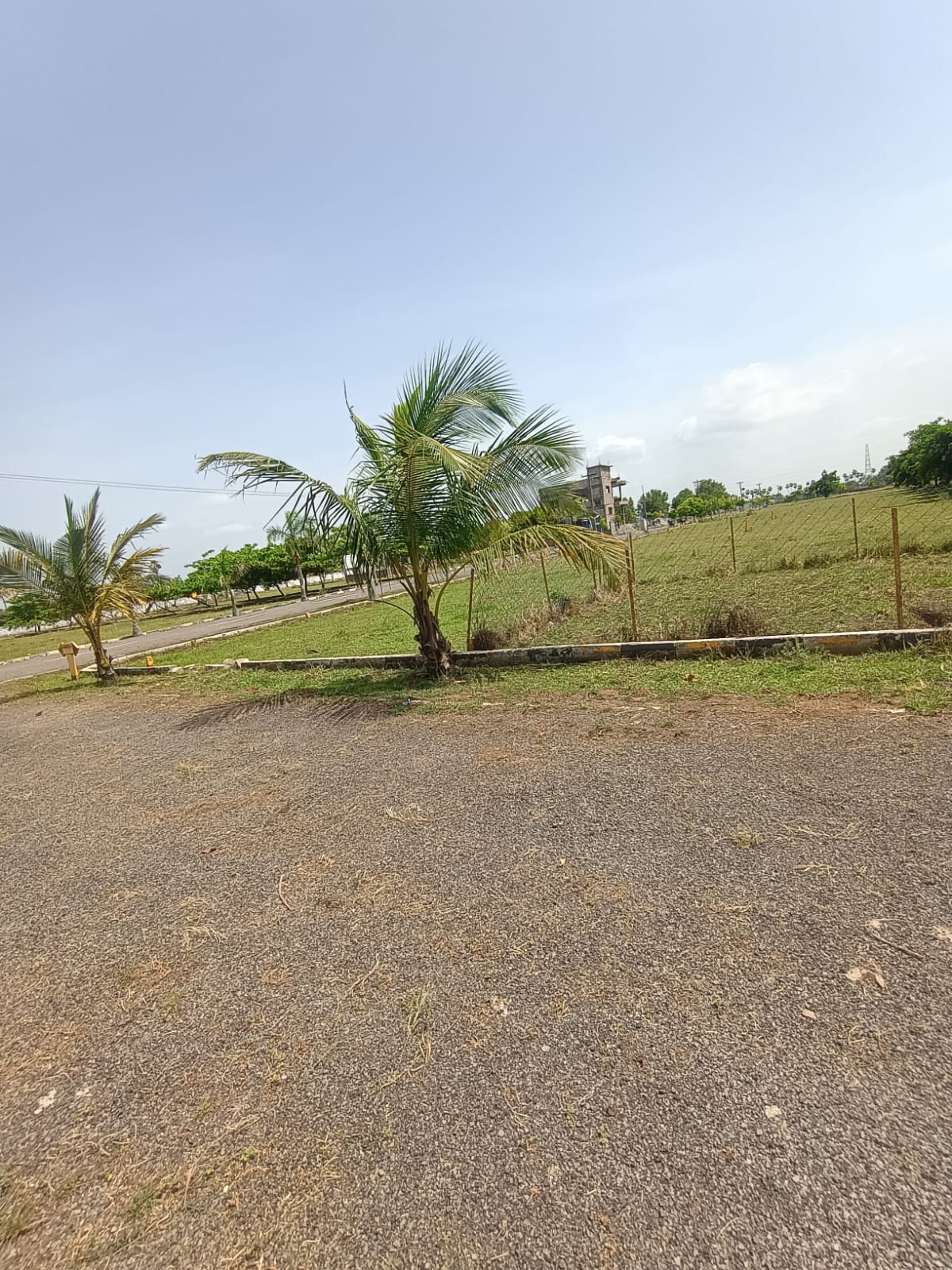 Farm Land