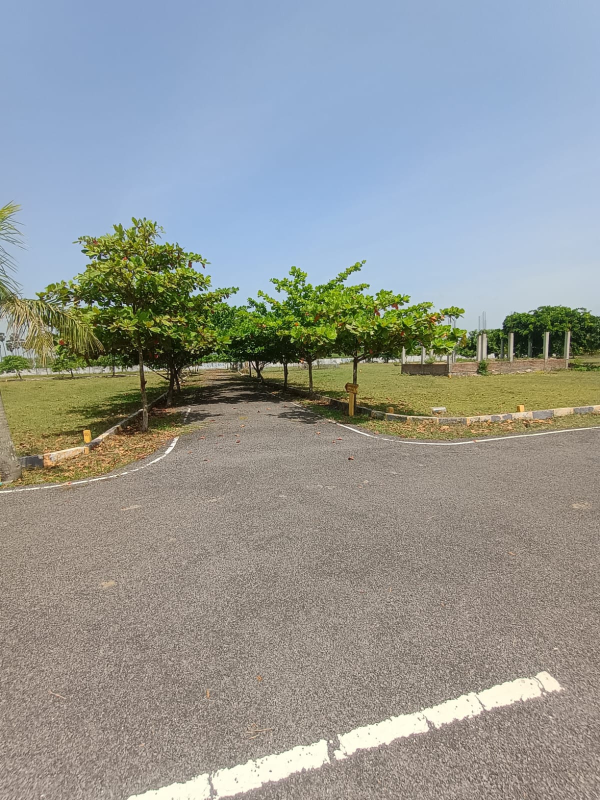 Farm Land