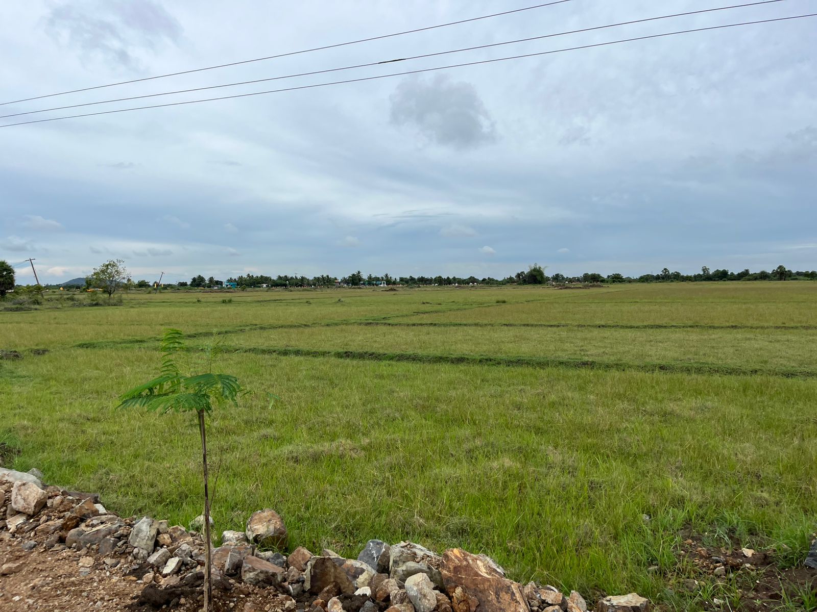 Farm Land